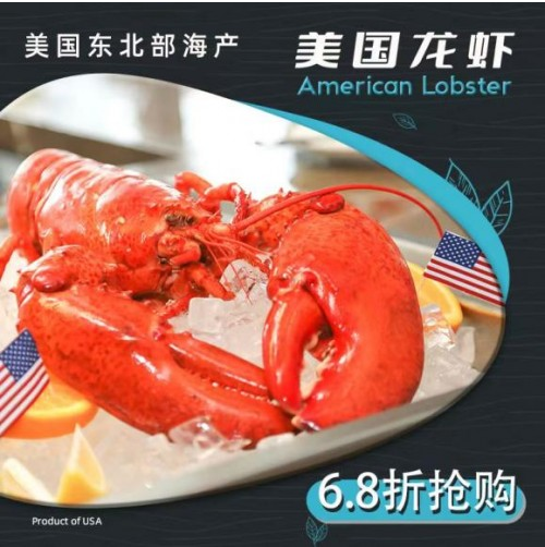 黄沙水产线上商城重磅上新美国龙虾